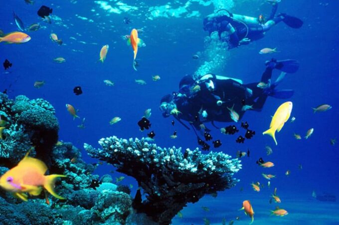 Fethiye Diving Adventure: Explore the Aegean Sea! - Itinerary Adaptability for Safety