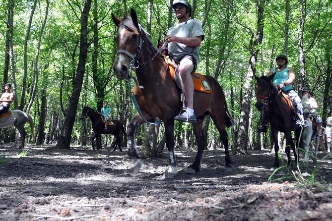 Fethiye Horse Riding Experience With Free Hotel Transfer Service - Reviews and Feedback