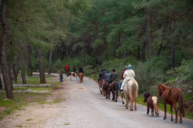 Fethiye Horse Riding Experience With Free Hotel Transfer Service - Directions and Accessibility