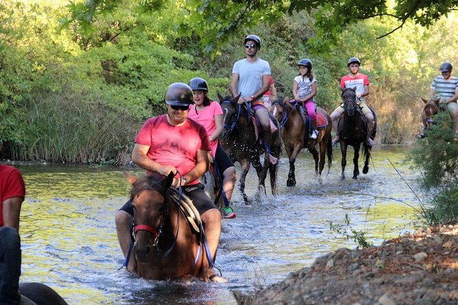 Fethiye Horse Riding Experience With Free Hotel Transfer Service - Pricing and Lowest Price Guarantee