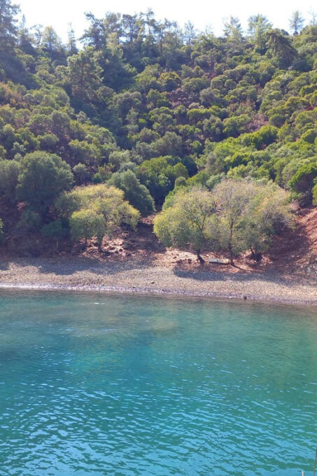 Fethiye: Islands Boat Trip With Lunch and Hotel Transfer - Exploring the Islands