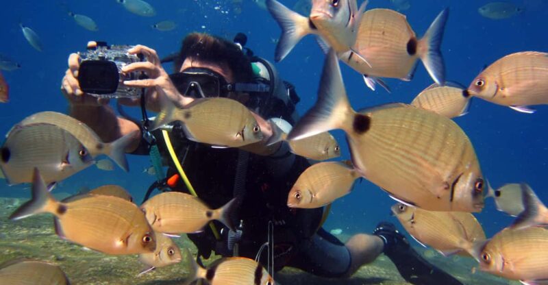 Fethiye: Ölüdeniz Scuba Diving Tour - Inclusions and Exclusions