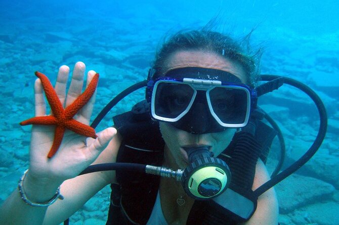 Fethiye Scuba Diving Experience By A Local Expert - Inclusions and Highlights of the Experience