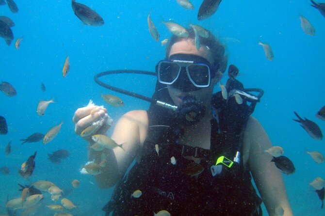 Fethiye Scuba Diving Experience By A Local Expert - Exploring the Underwater Wonders of Fethiye
