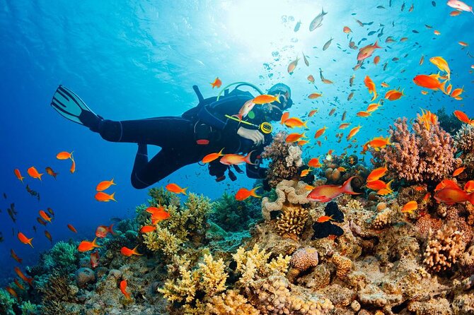 Fethiye Scuba Diving Experience By A Local Expert - Testimonials From Satisfied Customers