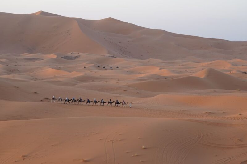Fez Desert Discovery: 2 Days, 1 Night - Great Deal! - Key Points