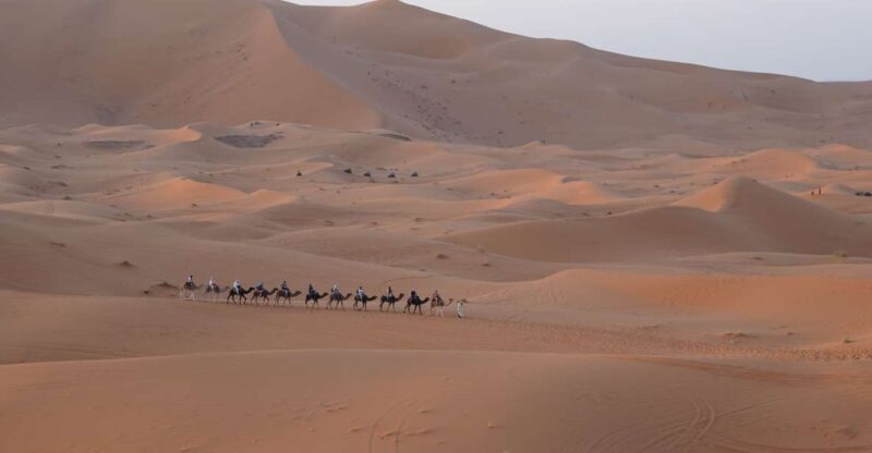 Fez Desert Discovery: 2 Days, 1 Night - Great Deal! - Camel Rides and Sandboarding