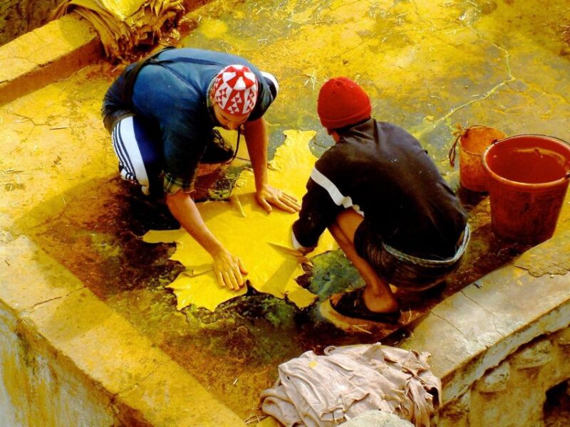 Fez Guided Day Tour - Cultural and Historical Sites
