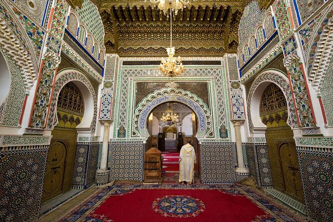 Fez Guided Tour NO SHOPPING TOUR - Tannery Visit