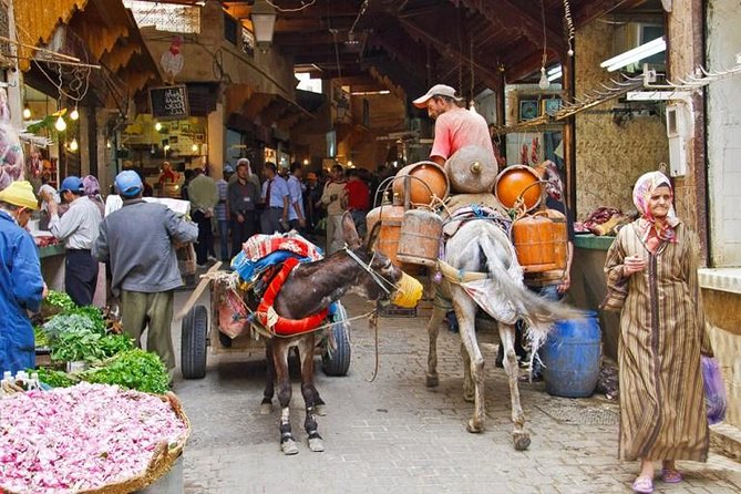 Fez in One Day: Qaraouiyine Mosque, Tanneries, Medersa & Mellah... - Pricing and Cancellation