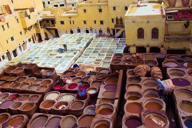 Fez Medina 4-Hour Guided Walking Tour - Reviews