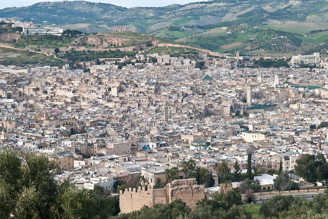 Fez Medina Full Day Tour - Highlights of the Tour