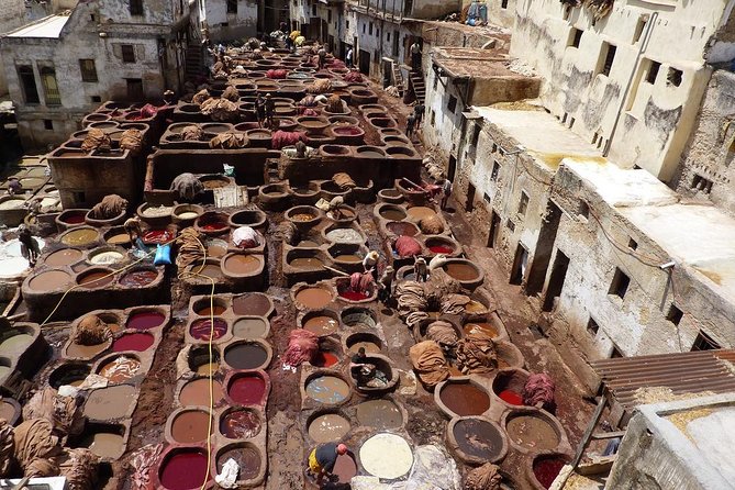 Fez Medina Walking Tours Half Days - Taking in Local Culture