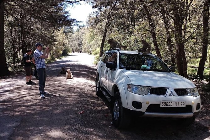 Fez: One Way Private Transfer To Chefchaouen - Customer Feedback and Ratings
