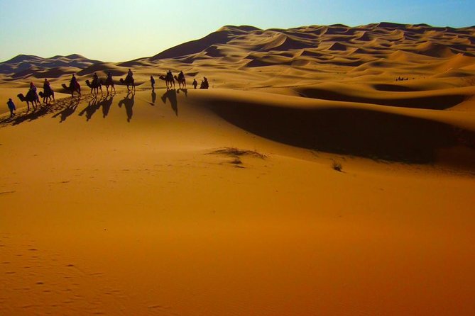 Fez to Marrakech Camel Trekking 3 Days 2 Nights - Meeting and Pickup Details