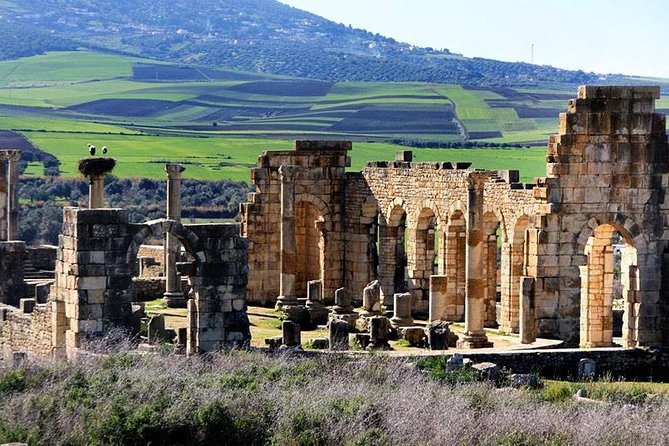 Fez to Meknes,Moulay Idriss & Volubilis Day Trip - Inclusions and Logistics