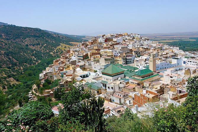 Fez to Meknes,Moulay Idriss & Volubilis Day Trip - Exploring the Roman Ruins of Volubilis