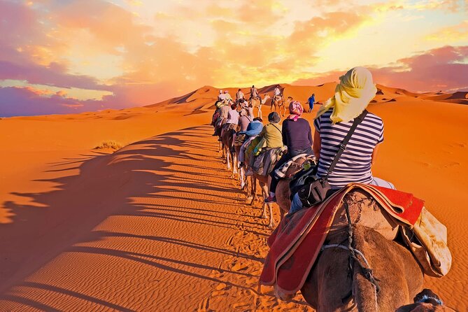 Fez to Sahara Desert Tour 3 Days 2 Nights - Caravan Trail Adventure