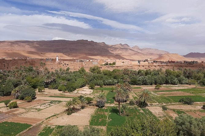 Fez to Sahara Desert Tour 3 Days 2 Nights - Interaction With Local Nomads