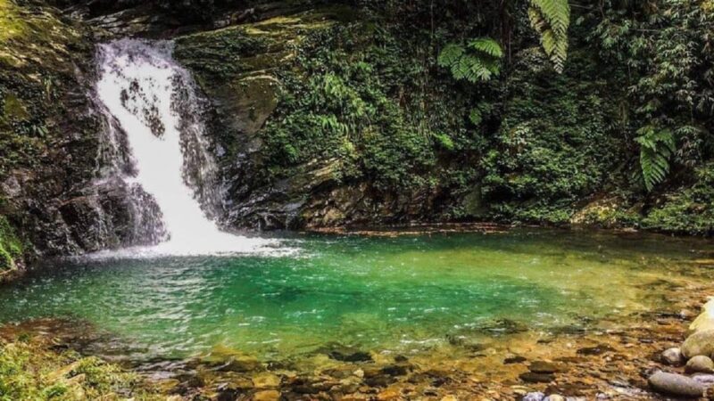 FFOM HUE : TOUR TREKKING HUE - BACH MA NATIONAL PARK DAILY - Key Points