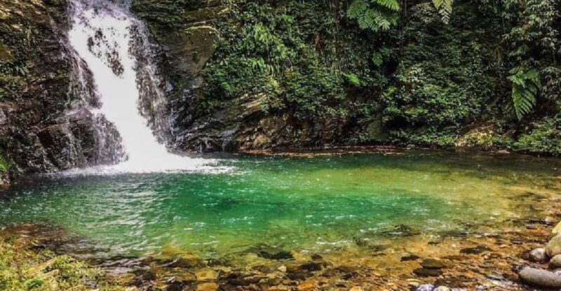 FFOM HUE : TOUR TREKKING HUE - BACH MA NATIONAL PARK DAILY - Inclusions