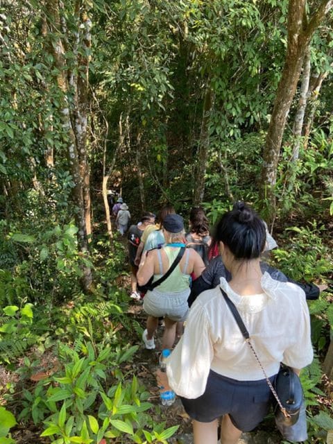 FFOM HUE : TOUR TREKKING HUE - BACH MA NATIONAL PARK DAILY - Highlights