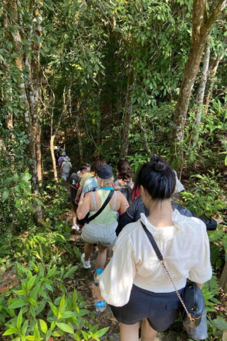 FFOM HUE : TOUR TREKKING HUE - BACH MA NATIONAL PARK DAILY - Travel Duration