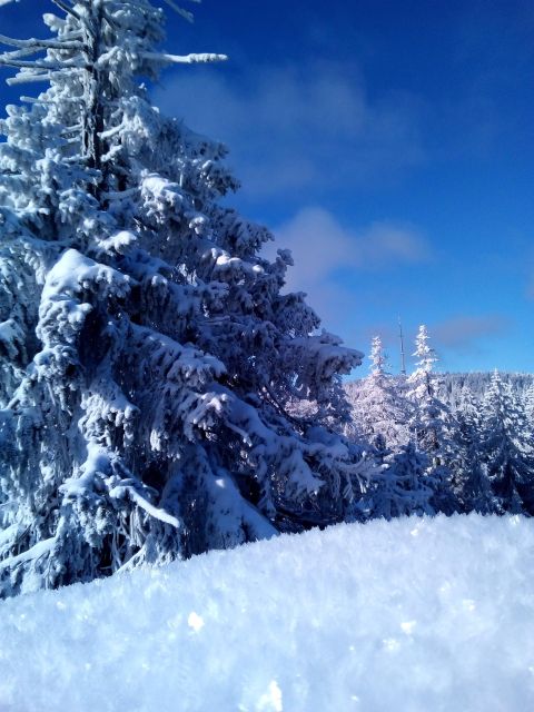 Fichtel Mountains: Snowshoe Hike - Key Points