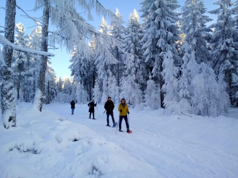 Fichtel Mountains: Snowshoe Hike - Pricing and Booking