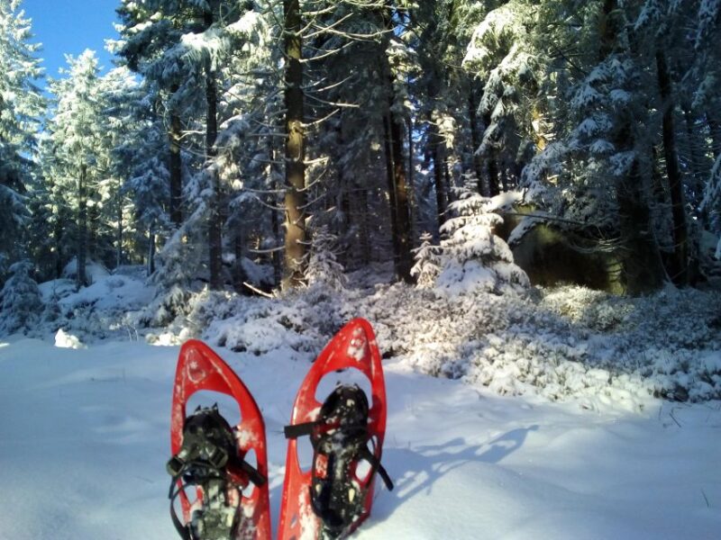 Fichtel Mountains: Snowshoe Hike - Tour Highlights
