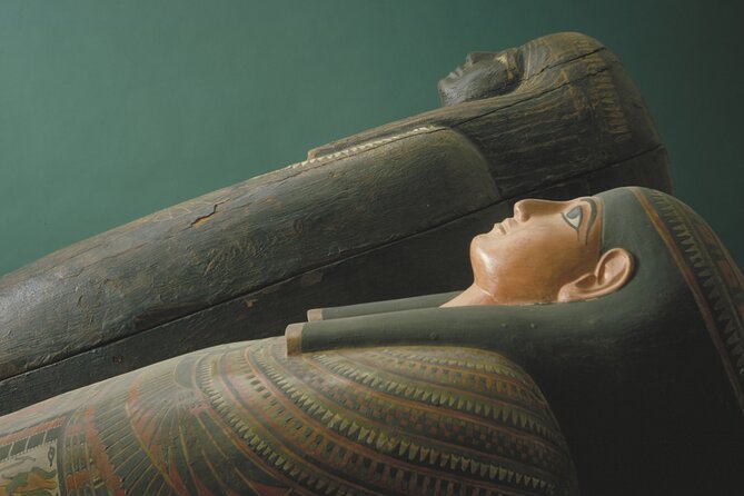 Field Museum of Natural History Early Access Ticket - Docent-Led Tour Experiences