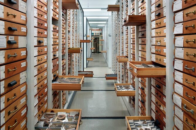 Field Museum of Natural History Early Access Ticket - Meeting and Pickup Details