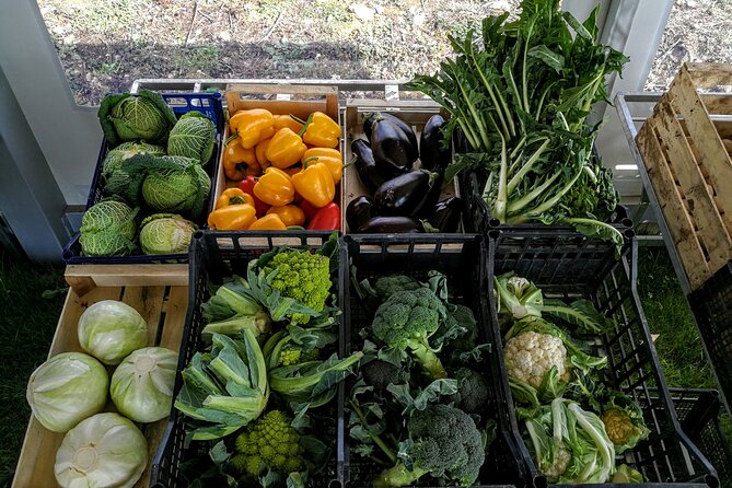 Fiesole: Tuscan Countryside Half Day E-Bike Tour & Farm Visit - Tour Details and Participants