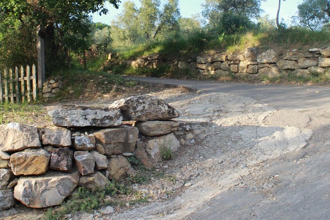 Fiesole: Tuscan Countryside Half Day E-Bike Tour & Farm Visit - Experiencing the E-Bike Ride