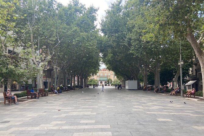 Figueres Walking Tour With Guided Visit to the Dalí Museum - Reviews and Feedback