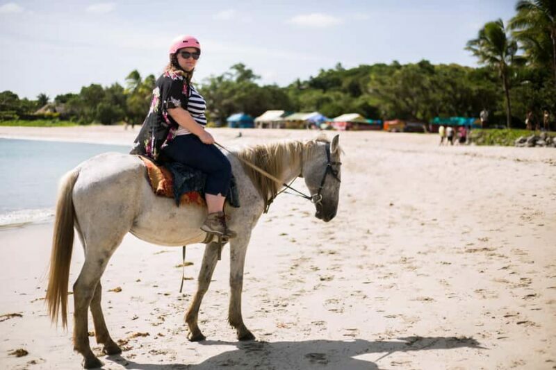 Fiji: Beach Horseback Riding Tour with Lunch and Transfer - Who Should Consider This Tour?