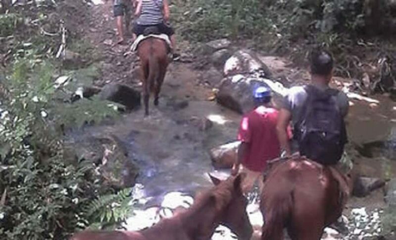 Fiji: Biasevu Village and Waterfall experience with Lunch - What to Expect from the Biasevu Village and Waterfall Tour