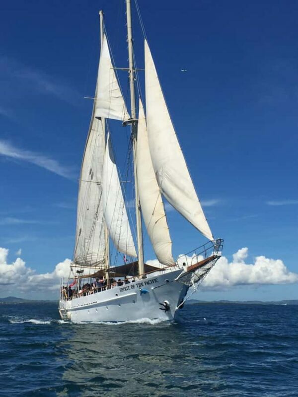 Fiji: Captain Cook Cruises - Island & Reef Day Trip - Water Adventures and Optional Extras
