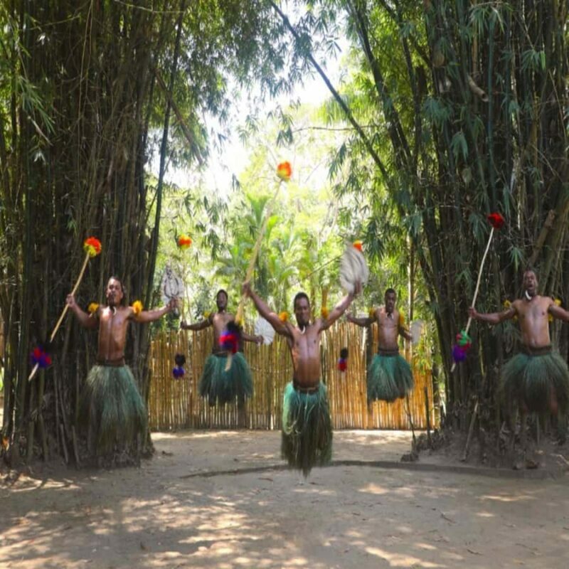 Fiji: Cultural Village Evening Tour with Dinner and Show - In The Sum Up