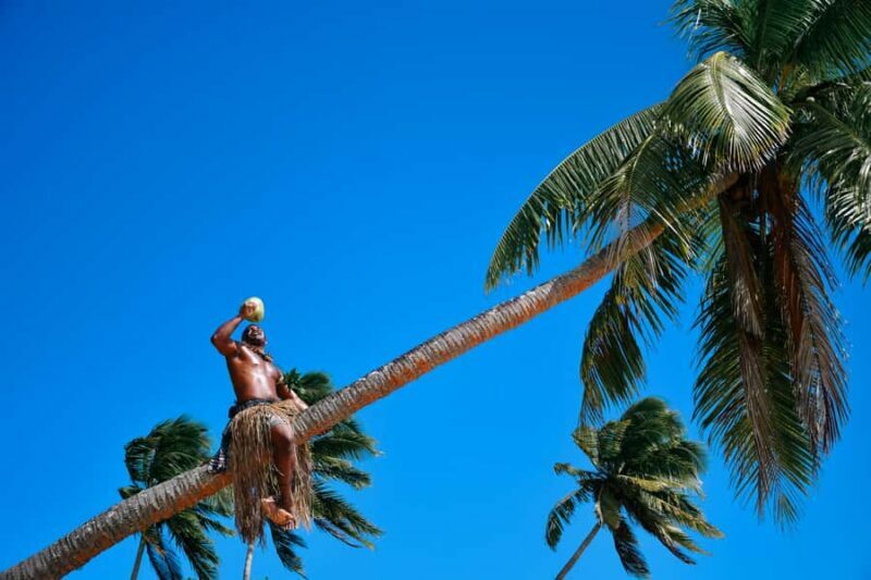 Fiji: Day and Night Combo Tour - The Value Proposition