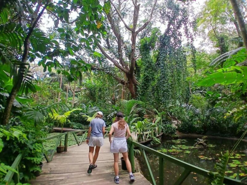 FIJI: Garden of the Sleeping Giant Tour - Key Points