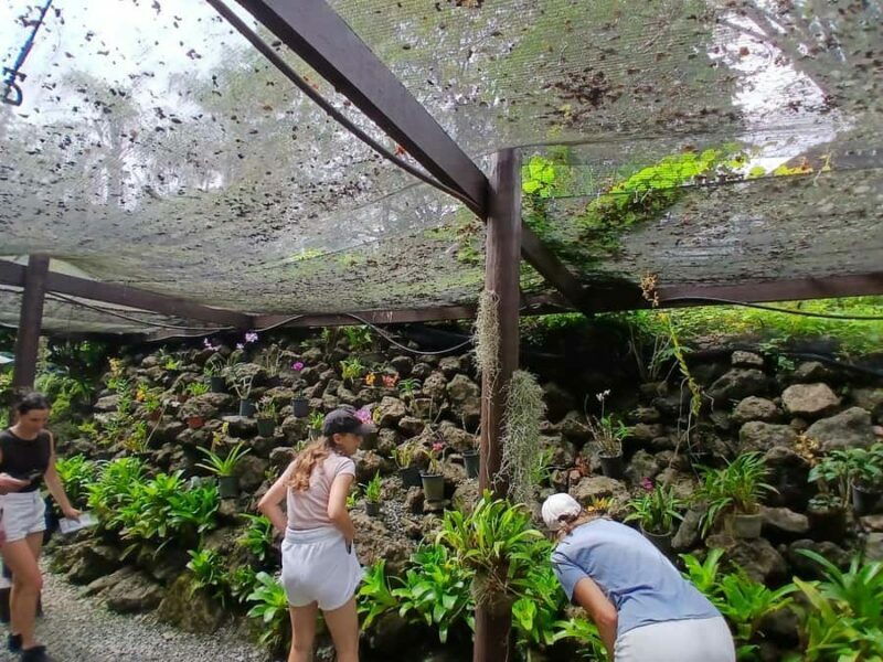 FIJI: Garden of the Sleeping Giant Tour - An Introduction to the Garden of the Sleeping Giant