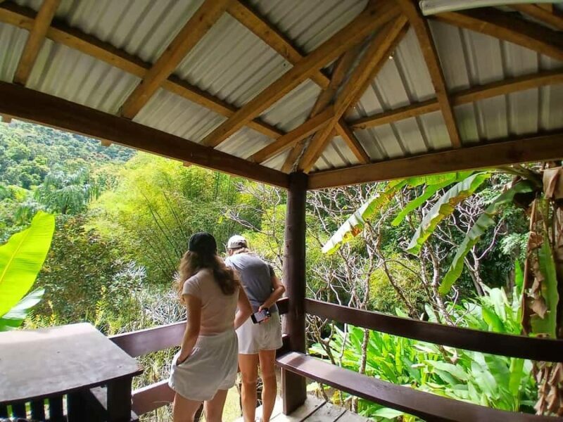 FIJI: Garden of the Sleeping Giant Tour - What to Expect: Practical Tips and Insights