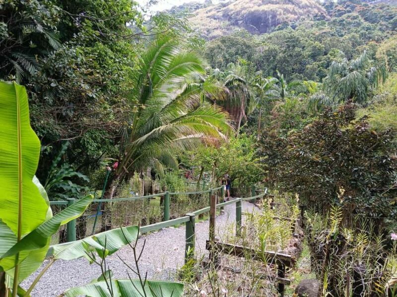 FIJI: Garden of the Sleeping Giant Tour - Who Should Consider This Tour?