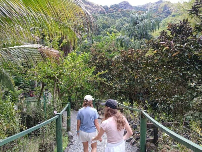 FIJI: Garden of the Sleeping Giant Tour - The Sum Up