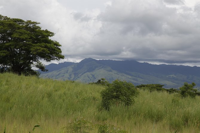 Fiji Local Village, Market, Temple & Garden of Sleeping Giant With Mud Pool Tour - Tour Highlights