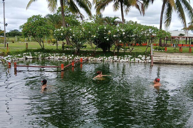 FIJI Official Tifajek MudPool & Hotspring Entry Fee Tickets Only - What to Expect at Tifajek Mud Pool & Hotspring