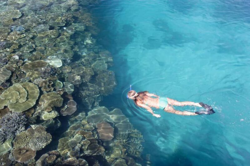 Fiji: South Sea Island Combo Half Day Trip Lunch & Drinks - Key Points