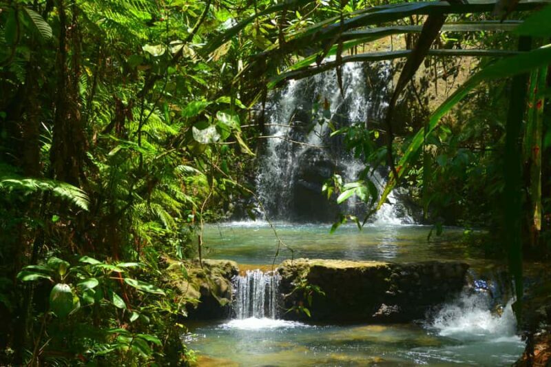 Fiji: Suva Village Tour - FAQ