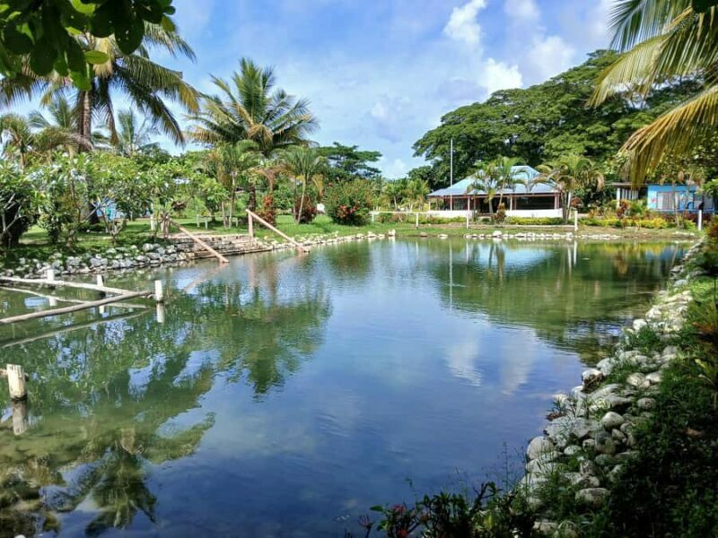 Fiji: Tifajek Mud Pool & Hotspring Tours & Tickets - Pricing and Value
